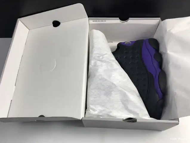 Kick Theory DJ5982-015 13 Purple Court Air Jordan 0610